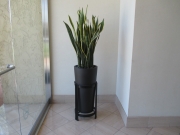 indoor-landscaping-plant-services-los-angeles-15