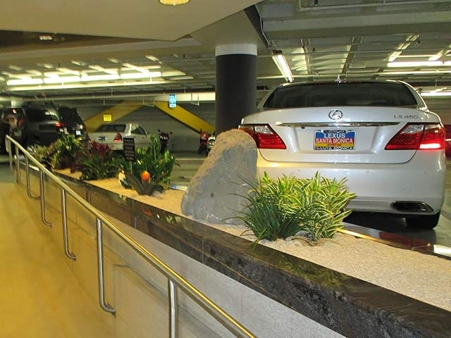 Indoor Plant Installation - Los Angeles