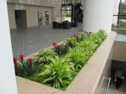 indoor-landscaping-plant-services-los-angeles-10