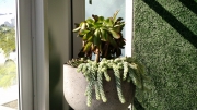 indoor-landscaping-plant-services-los-angeles-32