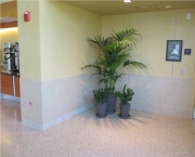 indoor-landscaping-plant-services-los-angeles-37