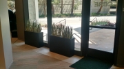 indoor-landscaping-plant-services-los-angeles-48