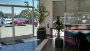 indoor-landscaping-plant-services-los-angeles-50