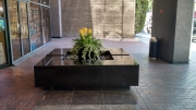 indoor-landscaping-plant-services-los-angeles-53