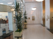 indoor-landscaping-plant-services-los-angeles-6