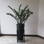 indoor-landscaping-plant-services-los-angeles-8