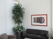 indoor-landscaping-plant-services-los-angeles-9