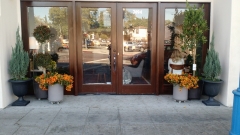 indoor-landscaping-plant-services-los-angeles-33
