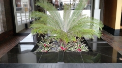 indoor-landscaping-plant-services-los-angeles-40