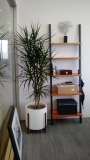 indoor-landscaping-plant-services-los-angeles-44