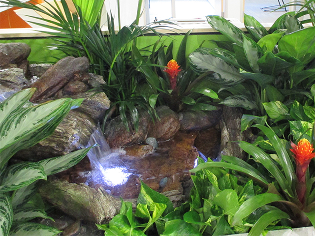 Waterfall & Tropical Stream in corporate office building