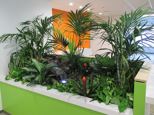 Tropical Stream Interior Landscape Project – Unique Plant Rentals